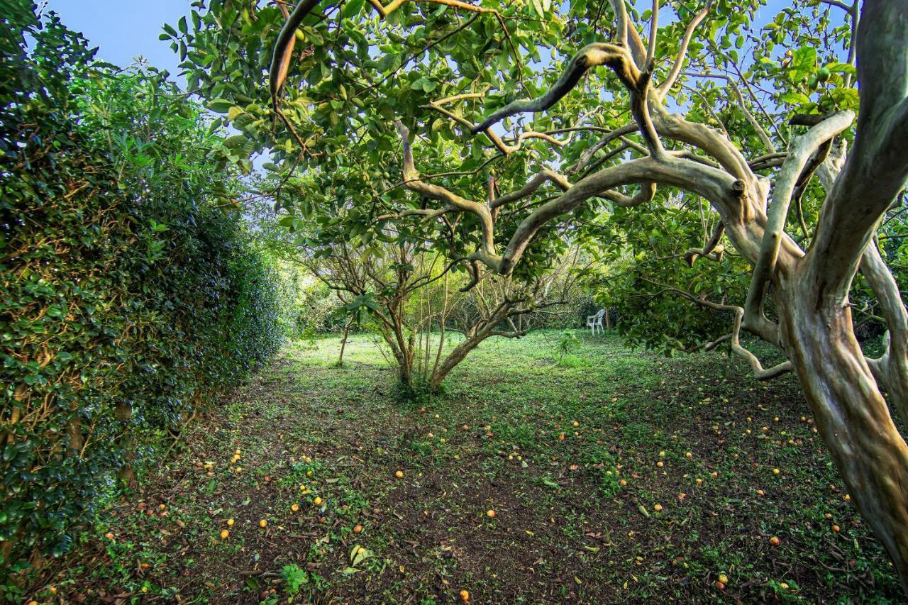 Casa Com Quinta Tradicional Βίλα Pico da Pedra Εξωτερικό φωτογραφία