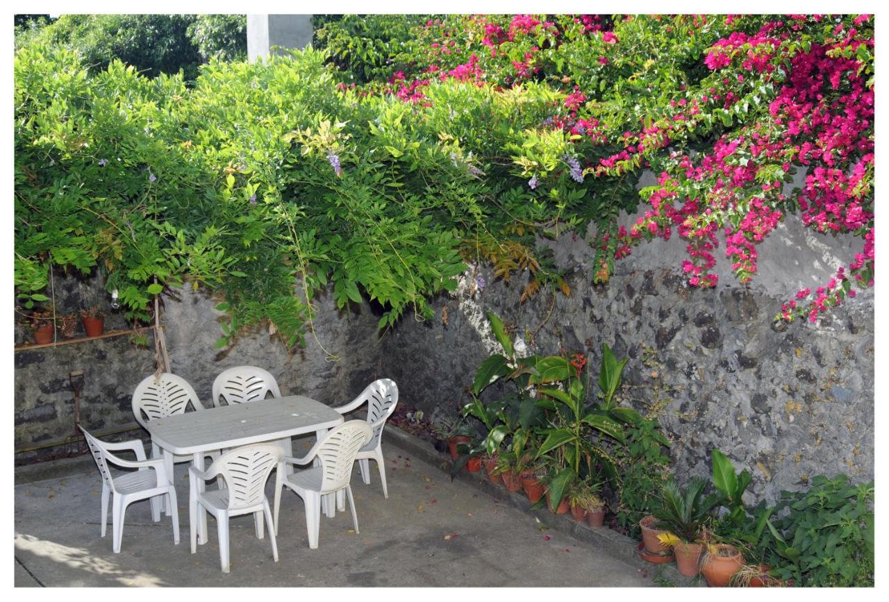 Casa Com Quinta Tradicional Βίλα Pico da Pedra Εξωτερικό φωτογραφία